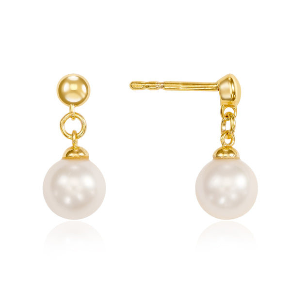 (54302/54304) Set Delphine Zilver 925/000 goud verguld ok